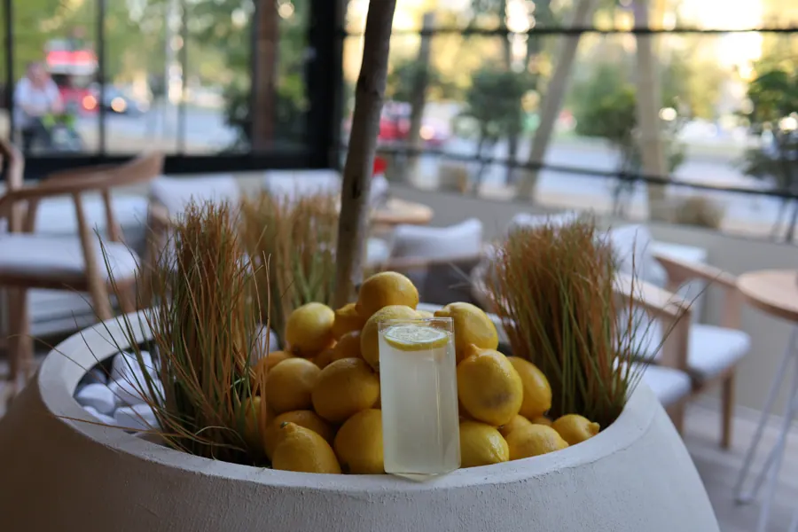 Лимони и лимонада на терасата